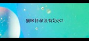猫咪怀孕没有奶水
