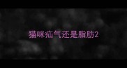 猫咪疝气还是脂肪