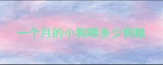 一个月的小狗喂多少狗粮
