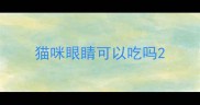 猫咪眼睛可以吃吗
