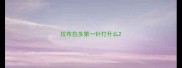拉布拉多第一针打什么