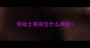母哈士奇杂交什么种好