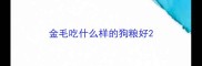 金毛吃什么样的狗粮好