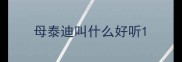 母泰迪叫什么好听