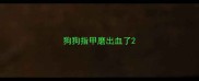 狗狗指甲磨出血了