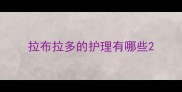 拉布拉多的护理有哪些