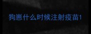 狗崽什么时候注射疫苗