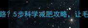 泰迪胖到走不动路5步科学减肥攻略让毛孩子健康瘦身