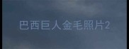 巴西巨人金毛照片