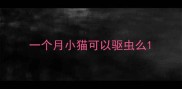 一个月小猫可以驱虫么