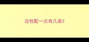 边牧配一次有几条