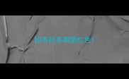 拉布拉多脚垫红色