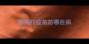 狗狗打疫苗防哪些病
