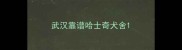 武汉靠谱哈士奇犬舍