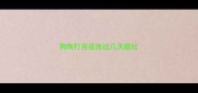 狗狗打完疫苗过几天呕吐