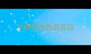 小狗打疫苗后反应