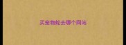 买宠物蛇去哪个网站