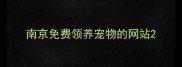 南京免费领养宠物的网站