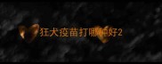 狂犬疫苗打哪种好