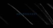 纯种拉布拉多犬宝宝