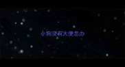 小狗没有大便怎办