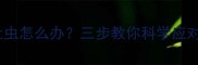 泰迪打虫后吐虫怎么办三步教你科学应对寄生虫危机
