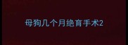 母狗几个月绝育手术