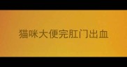 猫咪大便完肛门出血