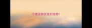 宁德宠物店里的宠物