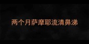 两个月萨摩耶流清鼻涕