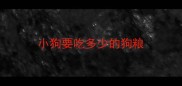 小狗要吃多少的狗粮