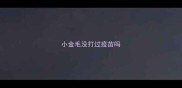 小金毛没打过疫苗吗