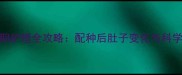 哈士奇孕期护理全攻略配种后肚子变化与科学养护指南