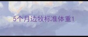 5个月边牧标准体重