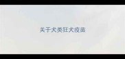 关于犬类狂犬疫苗