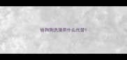 给狗狗洗澡用什么代替
