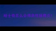 哈士奇怎么会得急性肠胃炎