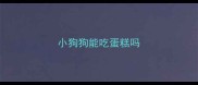 小狗狗能吃蛋糕吗
