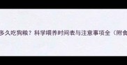 拉布拉多多久吃狗粮科学喂养时间表与注意事项全附食谱推荐