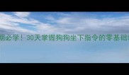 幼犬期必学30天掌握狗狗坐下指令的零基础教程