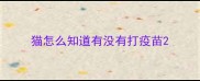 猫怎么知道有没有打疫苗