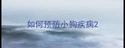 如何预防小狗疾病