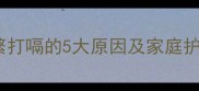 泰迪犬频繁打嗝的5大原因及家庭护理全攻略