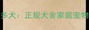 如何科学选购拉布拉多犬正规犬舍家庭宠物店全攻略与避坑指南