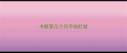 卡斯罗几个月不怕打架