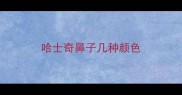 哈士奇鼻子几种颜色