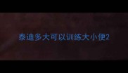 泰迪多大可以训练大小便
