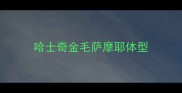 哈士奇金毛萨摩耶体型