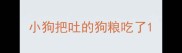小狗把吐的狗粮吃了