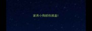 家养小狗抓伤膝盖